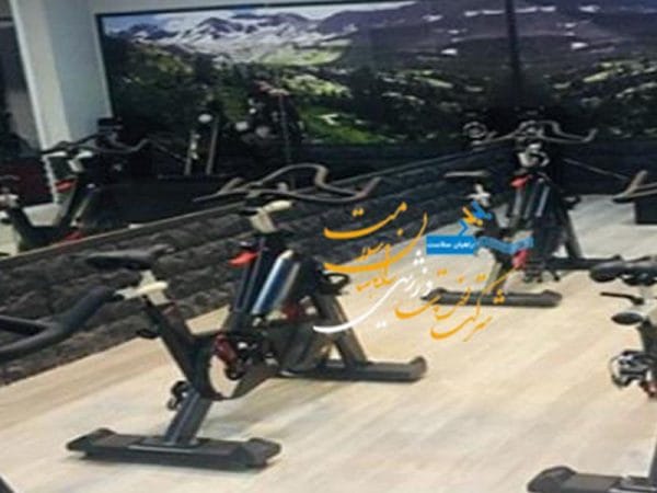 باشگاه اکسیژن پرو بیرجند