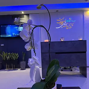 سالن ماساژ و فیشال لاوانا